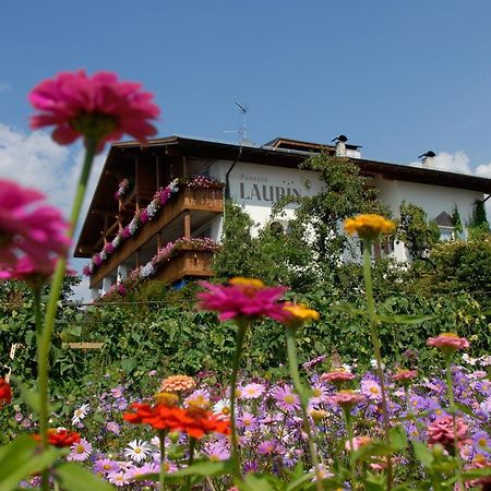 Pension Laurin Скена Экстерьер фото