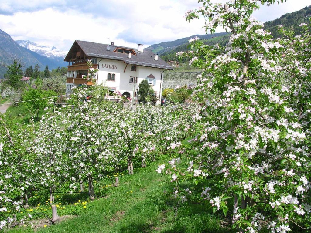 Pension Laurin Скена Экстерьер фото