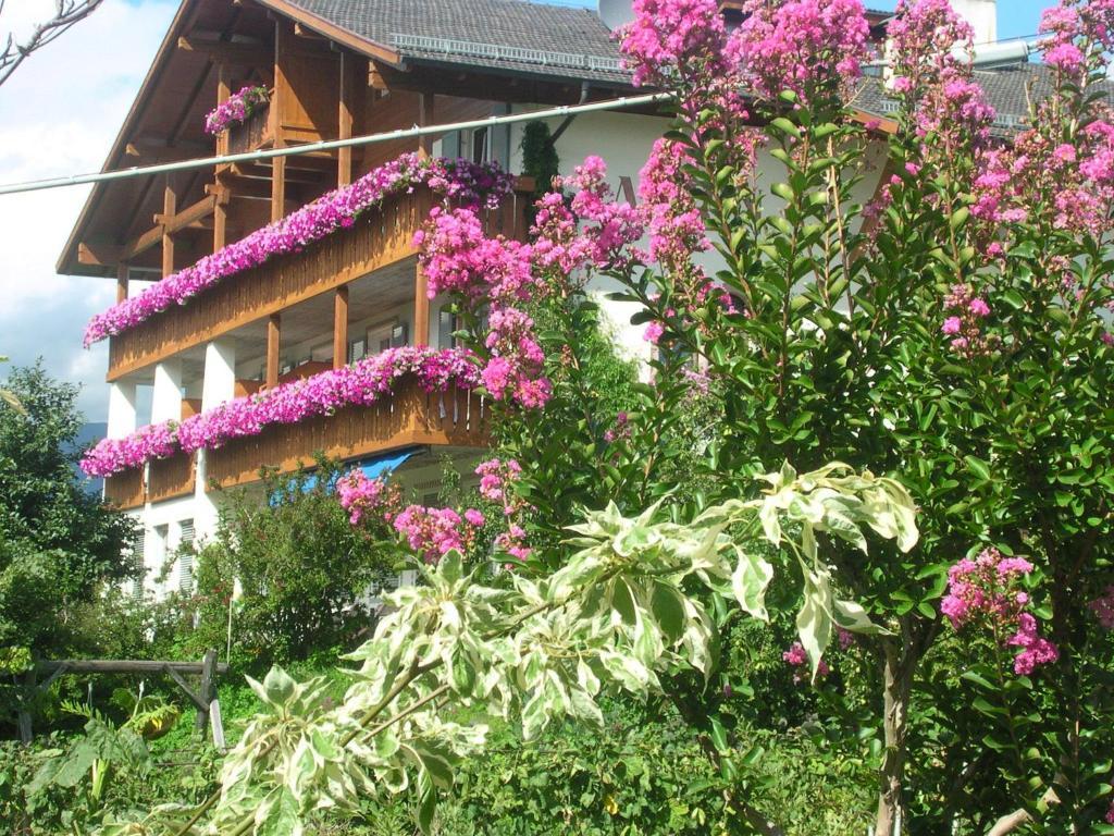 Pension Laurin Скена Экстерьер фото